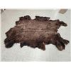 Image 1 : American Bison Buffalo Soft Tanned Robe Taxidermy