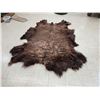 Image 2 : American Bison Buffalo Soft Tanned Robe Taxidermy