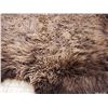 Image 3 : American Bison Buffalo Soft Tanned Robe Taxidermy