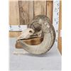 Image 3 : Giant Reproduction Desert Bighorn Sheep Skull Taxidermy