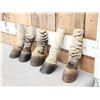 Image 2 : 5 Taxidermy Zebra Feet Hooves
