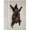 Image 1 : Brown Phase Black Bear Soft Tanned Fur