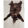 Image 2 : Brown Phase Black Bear Soft Tanned Fur