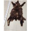 Image 3 : Brown Phase Black Bear Soft Tanned Fur