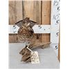Image 3 : Ruffed Grouse Full Body Bird Taxidermy