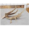 Image 4 : High 80" Class Wild Whitetail Shed Antler