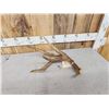 Image 6 : High 80" Class Wild Whitetail Shed Antler