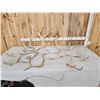 Image 1 : 11.9 Lbs Of Reindeer Antlers