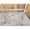 Image 2 : 13.4 Lbs Of Reindeer Shed Antlers