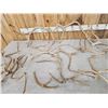 Image 3 : 13.4 Lbs Of Reindeer Shed Antlers