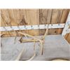 Image 3 : 20.3 Lbs Of Elk Antler