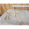 Image 5 : 20.3 Lbs Of Elk Antler