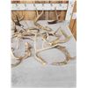 Image 2 : 28.2 Lbs Of Whitetail Shed Antlers