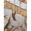 Image 4 : 28.2 Lbs Of Whitetail Shed Antlers