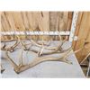 Image 2 : 41.2 Lbs Of Elk Shed Antlers