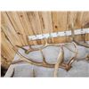 Image 5 : 41.2 Lbs Of Elk Shed Antlers