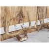 Image 6 : 2 NICE Sets Of Whitetail Antlers On Skull Plate