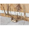 Image 7 : 2 NICE Sets Of Whitetail Antlers On Skull Plate