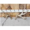 Image 1 : Set Of Freak Nontypical Whitetail Shed Antlers
