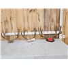 Image 1 : 3 Sets Of Mule Deer Antlers