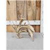 Image 1 : Big Gnarly Nontypical Whitetail Shed Antler