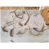 Image 3 : Mixed Antler Lot