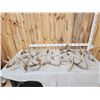 Image 1 : 29.5 Lbs Of Whitetail Antlers
