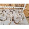 Image 2 : 29.5 Lbs Of Whitetail Antlers