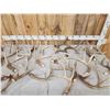 Image 3 : 29.5 Lbs Of Whitetail Antlers