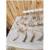 Image 5 : 32.3 Lbs Of Whitetail Antlers