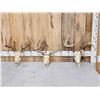 Image 1 : 3 Sets Of Whitetail Antlers On Skull