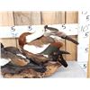 Image 3 : Pair Of Paradise Shelducks Full Body Bird Taxidermy