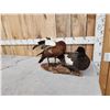 Image 9 : Pair Of Paradise Shelducks Full Body Bird Taxidermy