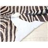 Image 7 : African Plains Zebra Soft Tanned Skin Taxidermy