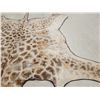 Image 7 : GIANT Giraffe Rug Taxidermy