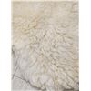 Image 2 : Sheep Skin Rug Taxidermy