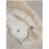 Image 6 : Sheep Skin Rug Taxidermy