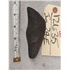 Image 1 : Fossilized Sperm Whale Tooth