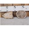 Image 1 : 2 Petrified Fossilized Wood Slabs