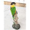 Image 2 : Black Headed Parrot Full Body Bird Taxidermy