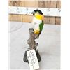 Image 4 : Black Headed Parrot Full Body Bird Taxidermy