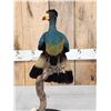 Image 7 : Great Blue Turaco Full Body Bird Taxidermy