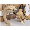 Image 9 : Hand Carved Ram Sheep Skull Taxidermy Art