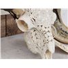 Image 5 : Gorgeous Hand Carved Ram Sheep Skull Taxidermy Artwork