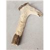 Image 2 : Hand Carved Antler Walking Stick Handle Artwork