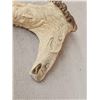 Image 3 : Hand Carved Antler Walking Stick Handle Artwork