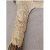 Image 4 : Hand Carved Antler Walking Stick Handle Artwork