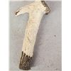 Image 6 : Hand Carved Antler Walking Stick Handle Artwork
