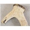 Image 8 : Hand Carved Antler Walking Stick Handle Artwork