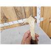 Image 9 : Hand Carved Antler Walking Stick Handle Artwork